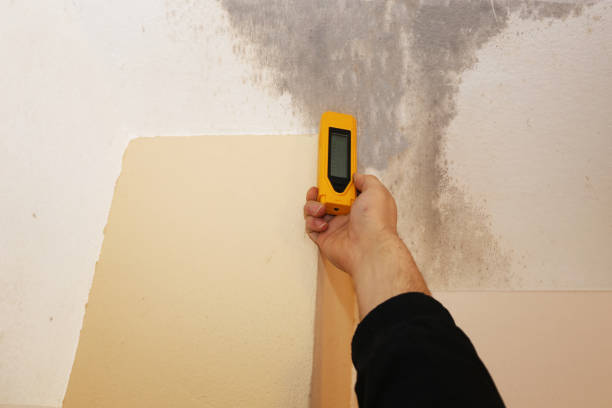 Best Post-Construction Mold Inspection  in Virginia Gardens, FL