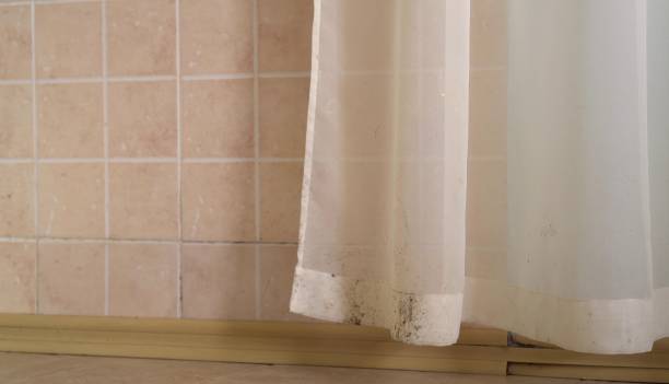 Best HVAC Mold Inspection and Cleaning  in Virginia Gardens, FL