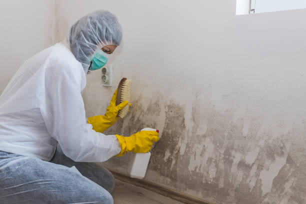 Best Forensic Mold Investigation  in Virginia Gardens, FL